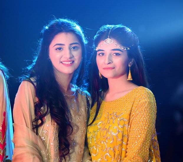 bridesmaids shoot, mehndi shoot, wedding photography, mehndi photography